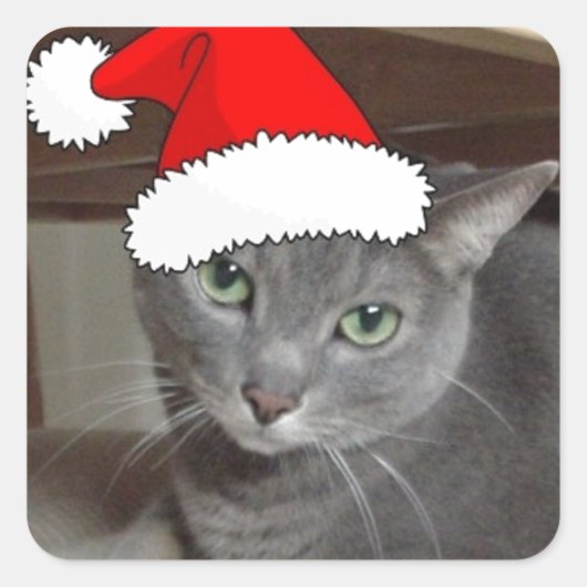 青ロシアの猫クリスマス スクエアシール (正面)