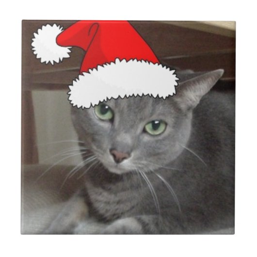 青ロシアの猫クリスマス タイル (正面)