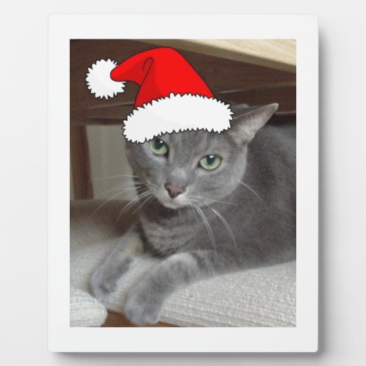 青ロシアの猫クリスマス フォトプラーク (正面)