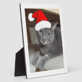 青ロシアの猫クリスマス フォトプラーク (側面)
