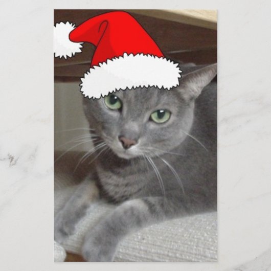 青ロシアの猫クリスマス 便箋 (正面)