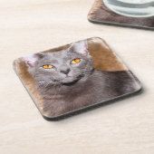 青ロシアの猫コースター コースター (左側)