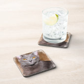 青ロシアの猫コースター コースター (右側)