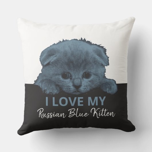 青ロシアの猫 クッション (裏面)