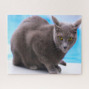 青ロシアの猫。 ジグソーパズル