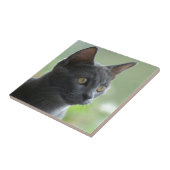 青ロシアの猫 タイル (側面)