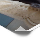 青ロシアの猫 ポスター (角)