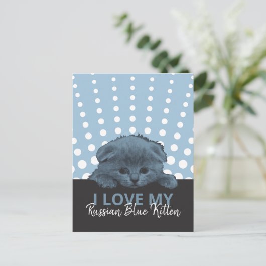 青ロシアの猫 ポストカード (スタンド正面)