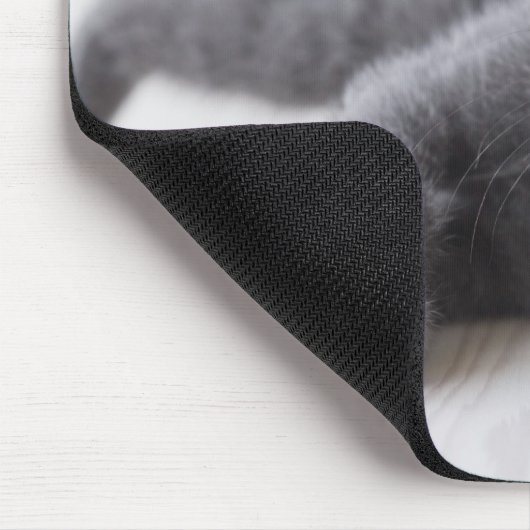 青ロシアの猫 マウスパッド (コーナー)