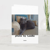 青ロシアの色 カード (裏面)