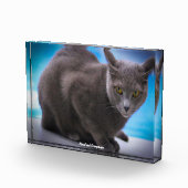 青ロシアの色 フォトブロック (右)