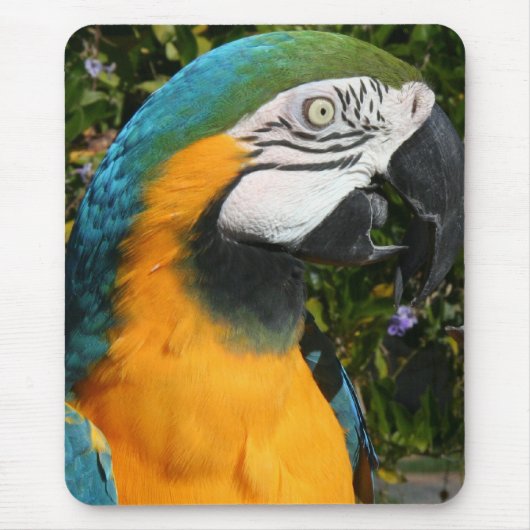 青及び金ゴールドのコンゴウインコのマウスパッド マウスパッド (正面)