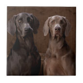 青及びTeyla Weimaraners タイル (正面)