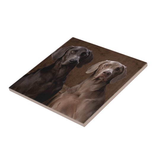 青及びTeyla Weimaraners タイル (側面)