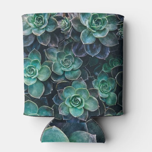 青多肉植物 缶クーラー (裏面)