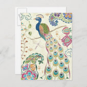 青威厳のある孔雀 ポストカード (正面/裏面)