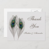 青孔雀の羽ありがとう ポストカード (正面/裏面)