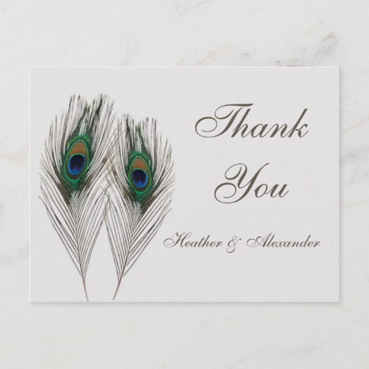 青孔雀の羽ありがとう ポストカード (正面)