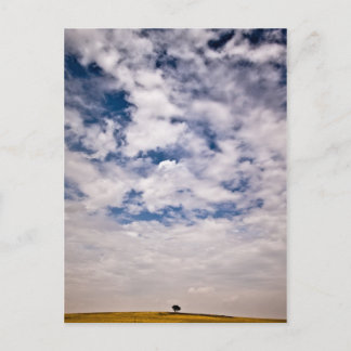 青宇宙の半分 ポストカード