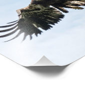 青少年のハゲワシ フォトプリント            (角)