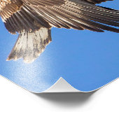 青少年のハゲワシ フォトプリント            (角)