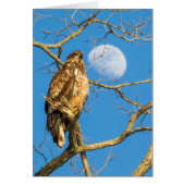 青少年の禿鷲と月 (正面)