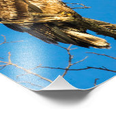 青少年の禿鷲と月 フォトプリント            (角)