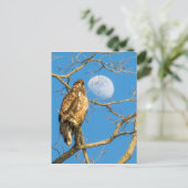 青少年の禿鷲と月 ポストカード (スタンド正面)