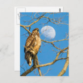 青少年の禿鷲と月 ポストカード (正面/裏面)