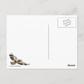 青少年の禿鷲と月 ポストカード (裏面)