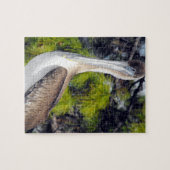 青少年の茶色のペリカン ジグソーパズル (横)