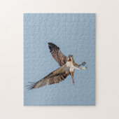 青少年の飛行中のオスプレイ ジグソーパズル (縦)