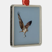 青少年の飛行中のオスプレイ メタルオーナメント (右)