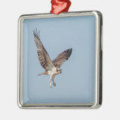 青少年の飛行中のオスプレイ メタルオーナメント (左)