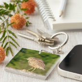 青少年ブラッククラウン付きナイトヘロン キーホルダー (正面右)