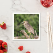 青少年ブラッククラウン付きナイトヘロン スタンダードカクテルナプキン (インサイチュ)