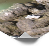 青少年ヘロン ポスター (角)