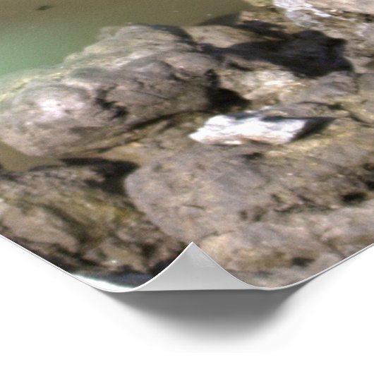 青少年ヘロン ポスター (角)