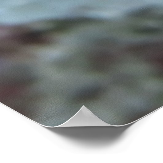 青少年赤いコリス ポスター (角)