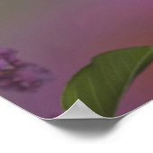 青少年雄ルビー喉ハチドリ ポスター (角)