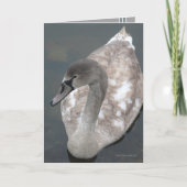 青年の美しい カード (正面)