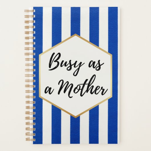 青忙しと白の母としてストライプの プランナー手帳 (正面)