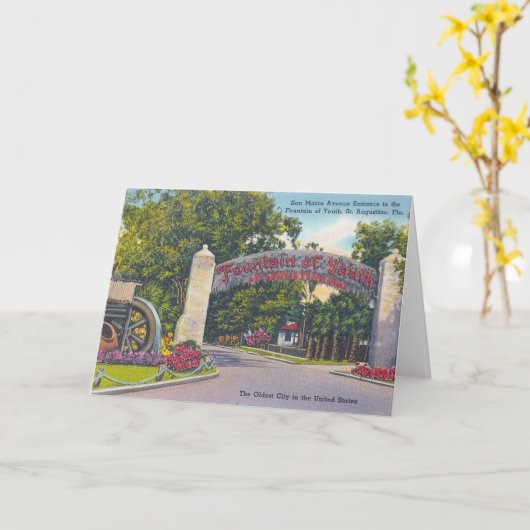 青春の泉 カード (黄色い花)