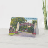 青春の泉 カード (正面)