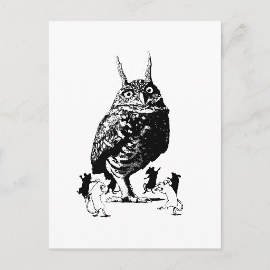 青月の下 ポストカード (正面)