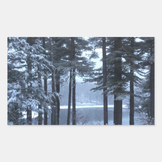 青松の木 – - 長方形シール (正面)