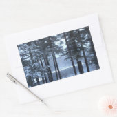 青松の木 – - 長方形シール (封筒)