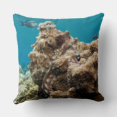 青海サンゴ礁 クッション (裏面)
