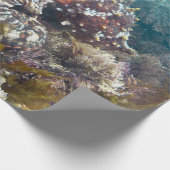 青海タコ包み紙 ラッピングペーパー (角)