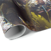 青海タコ包み紙 ラッピングペーパー (ロールコーナー)